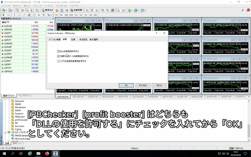 DLLの使用を許可するチェック画面